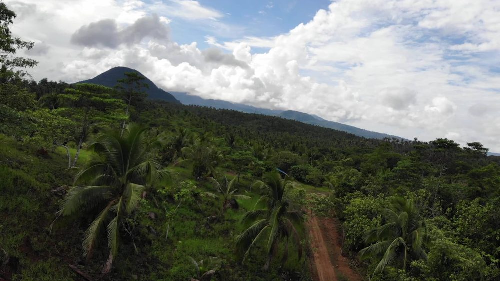Rolling hills of coconut palms with Susong Dalaga under the clouds
